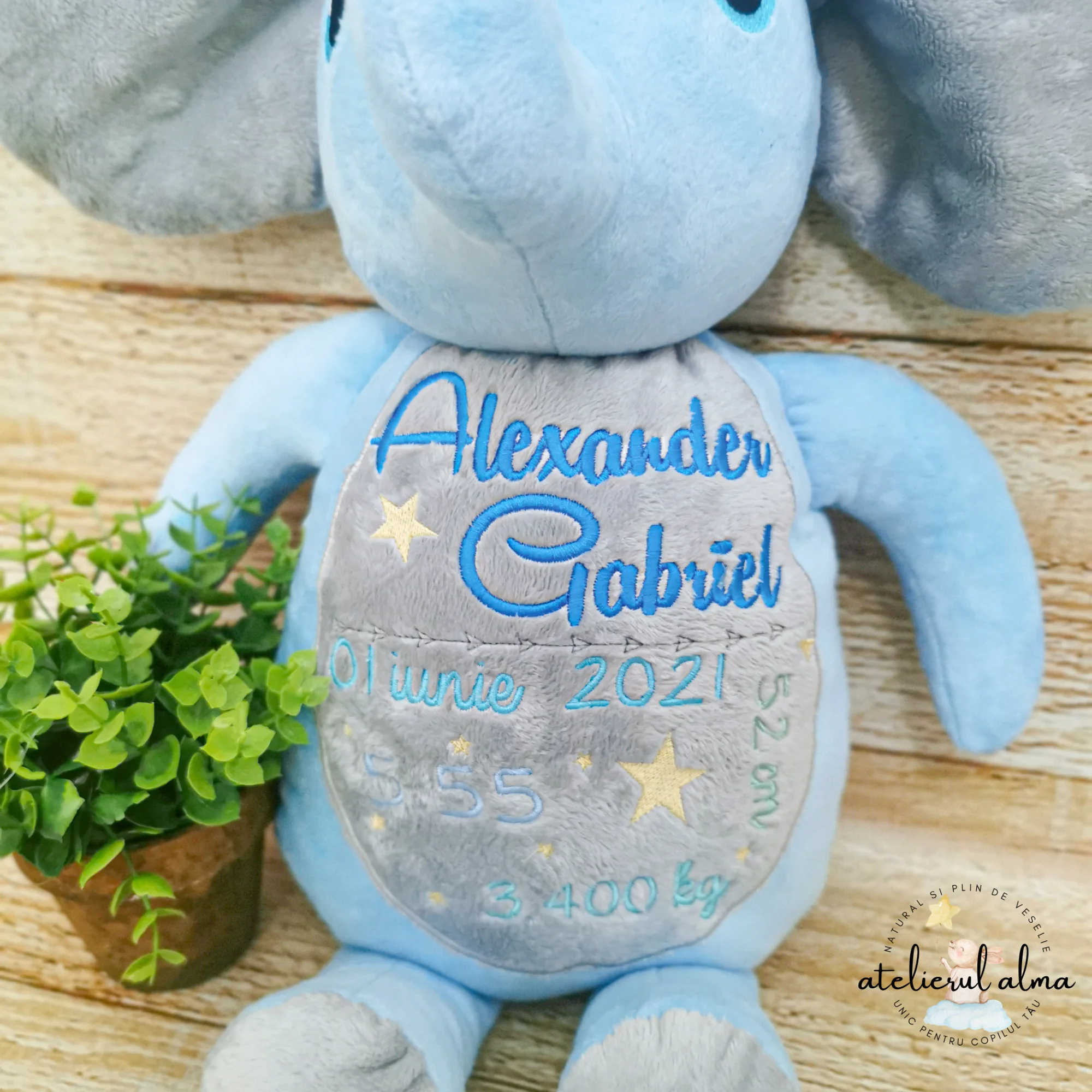 imagine cu jucarie plus personalizata pentru bebelusi